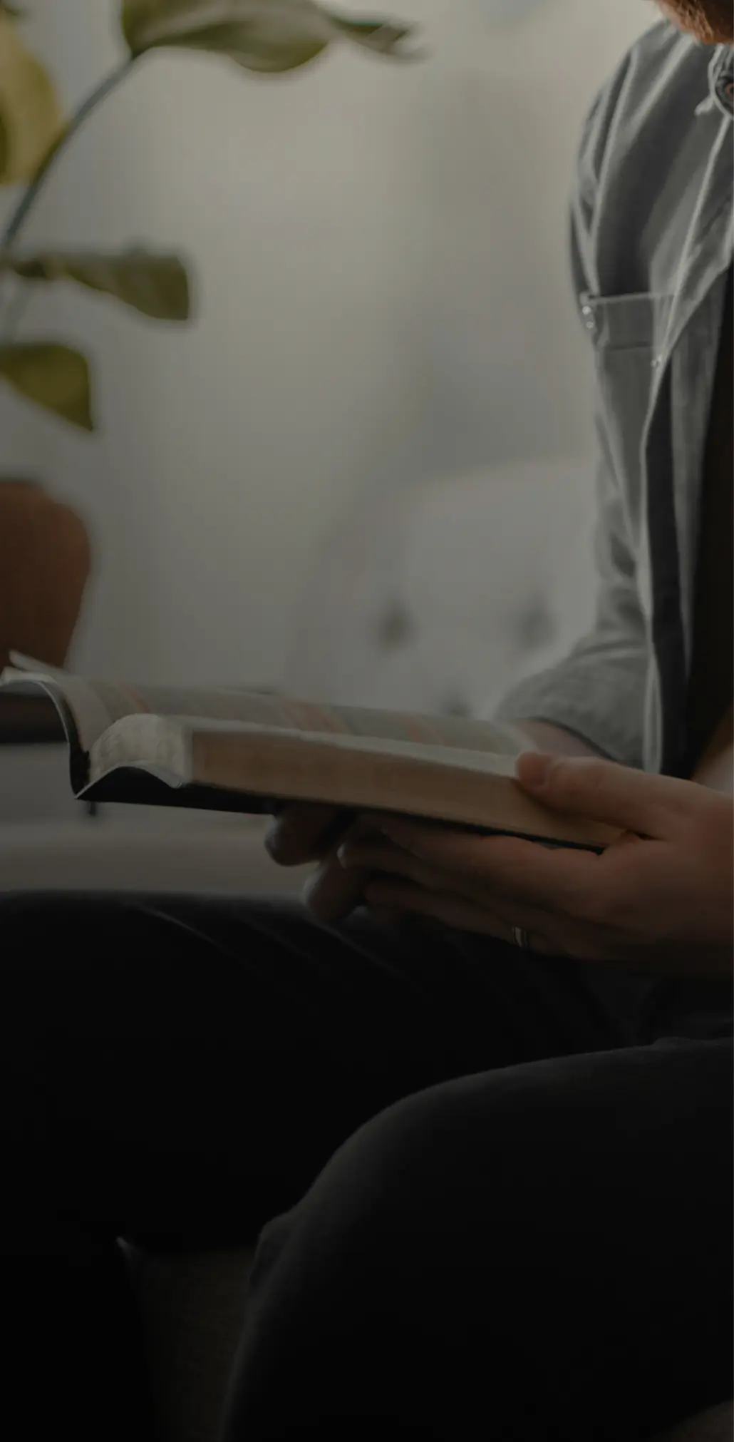 Publisher reading a book